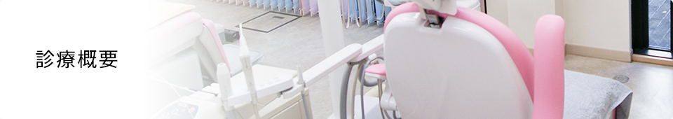 医療概要